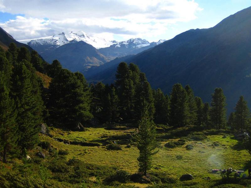 Plattnerhof Kaunertal Luaran gambar
