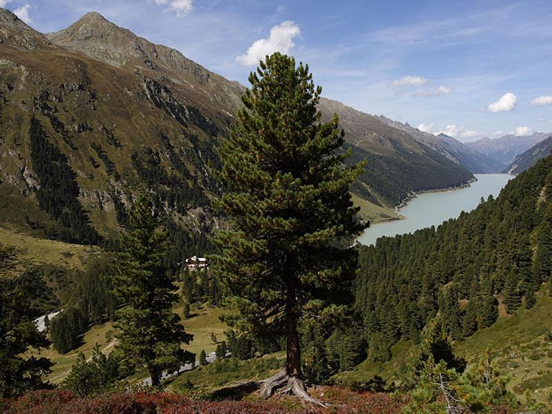 Plattnerhof Kaunertal Luaran gambar