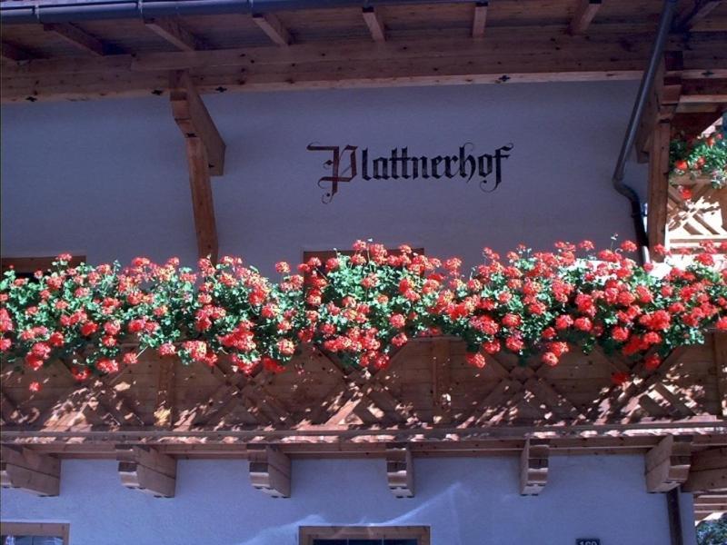 Plattnerhof Kaunertal Bilik gambar